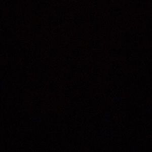 Meet your Posher, Lupe